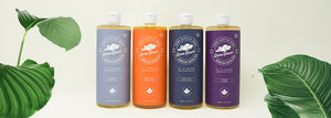 Four bottles of natural Castile soap on a plain background with plants