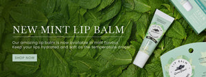 Green Beaver's new mint lip balm is featured lying flat on a bed of greenery.