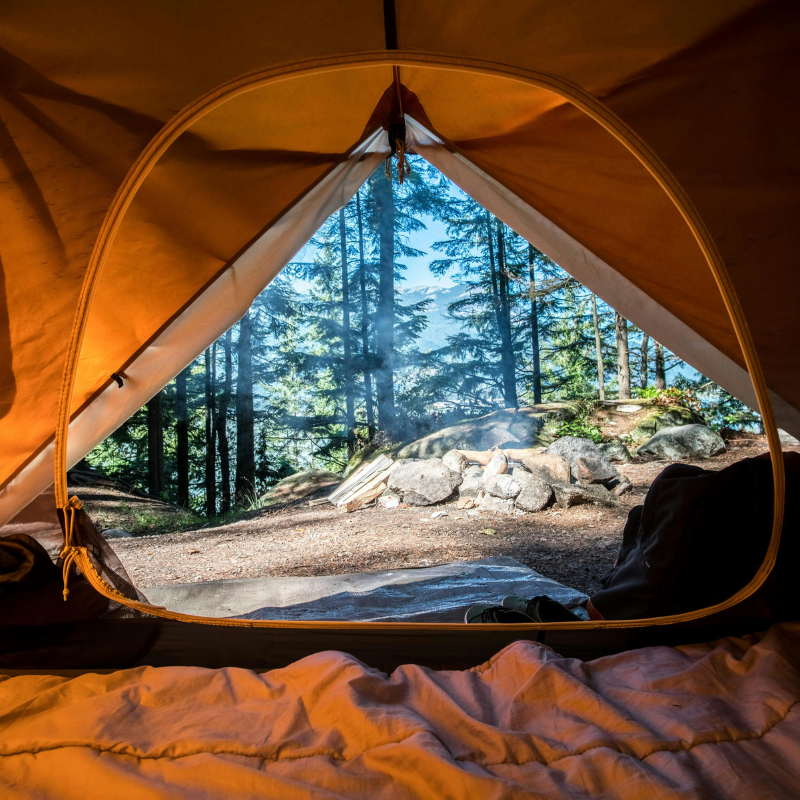 A view of a wooded campsite from within a tent